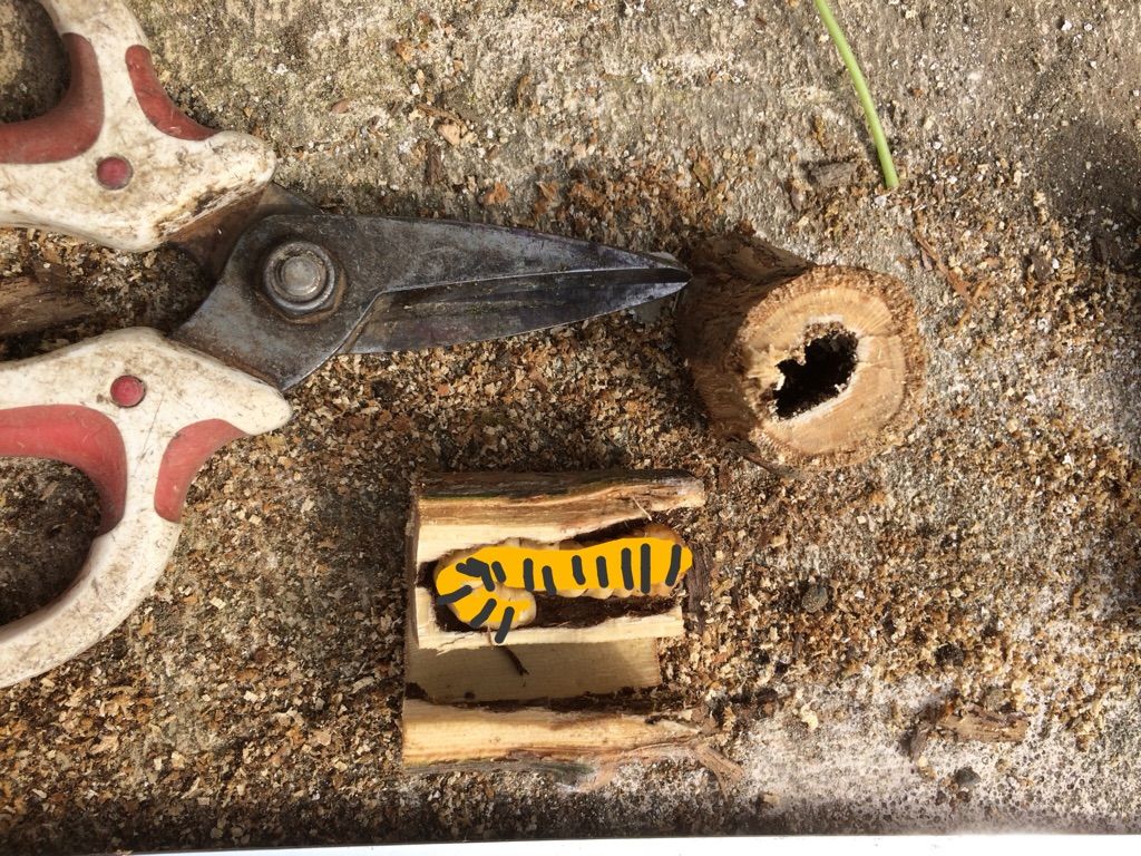 休日の庭仕事 憎きテッポウムシ 魔女の電子便