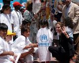 アンジー UNHCR