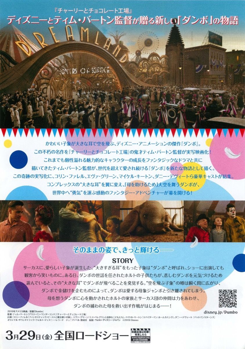 ダンボ チラシ 裏