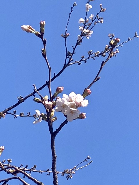 AA6CD6DE-6D60-4017-889B-E35FDE5DD205