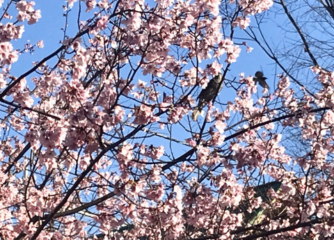 FullSizeRender - 2021-03-16T160658.120