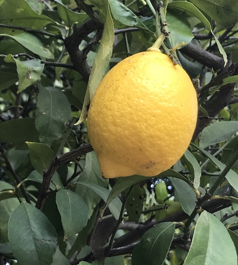 A6A6DF73-FE22-4CC9-B73F-894D0DCE652A