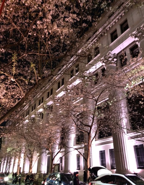 DCC36855-4F9E-41AD-A5BB-98A36A551A85