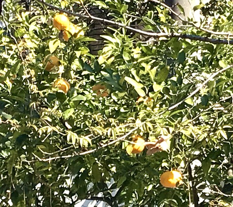 6B5800A1-E6D5-4E60-937E-49251DD0E19A