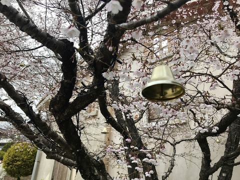 30985796-853D-4951-81AF-B7694B76E1E5