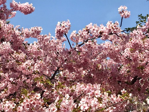 3E39EC8D-CFAF-4357-AC9C-B5B8931F0649