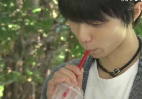 ハスカップ スムージー