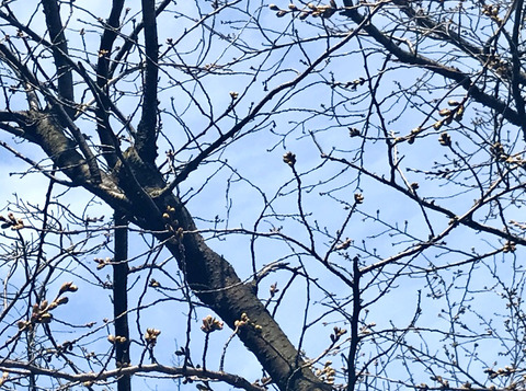 FullSizeRender - 2021-03-16T172021.905