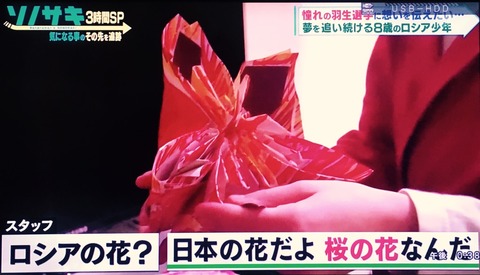 FullSizeRender (141)