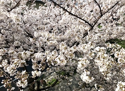 89330654-2CCD-4719-AC68-D9CD66FAC259