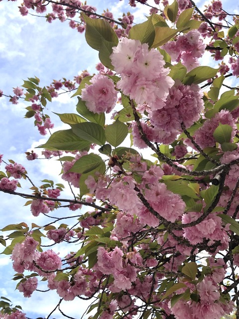 A56FE8B1-8AA3-4BC7-86B9-DD7B074BB55B