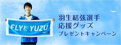 ANA 2021　キャンペーン 2