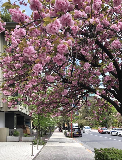 97329BDF-4445-47AD-AADE-0377567CC4F8