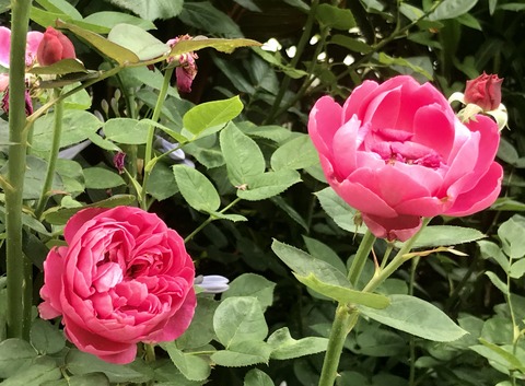 2D9FD4C4-7285-439A-9FFB-A10A0FA713C8