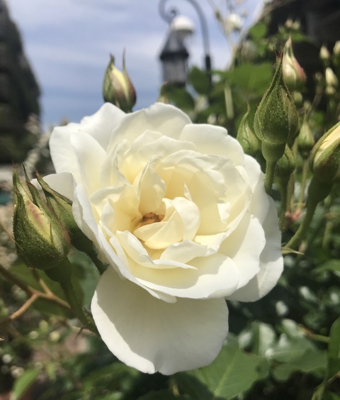 00738190-7DA9-4F13-9669-D65875C80FC7