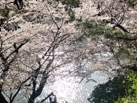 7CC4A2CD-9C61-4FFB-9D7C-0E4F62CC251A