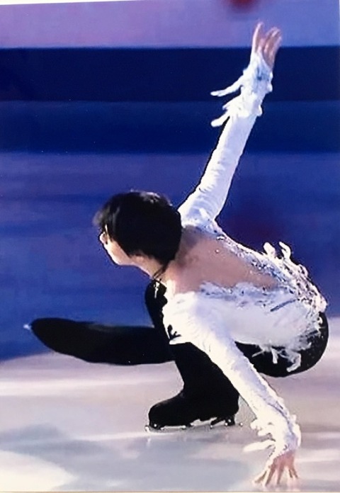 FullSizeRender (468)