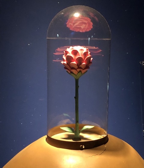 2B6D3B41-7D8D-4E51-87B8-76187918B6E1