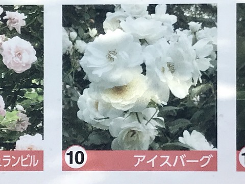 FA930F38-870C-4FC2-AEAD-15834C05B296