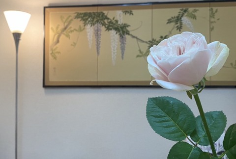 94F058E8-D8A2-4019-A4EB-52849CEBE1A5