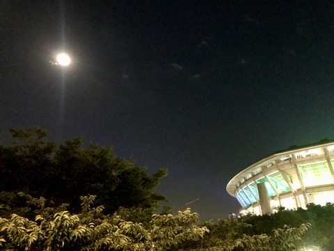 2ECE3FBC-7414-437D-A18E-0F56AB1931EC