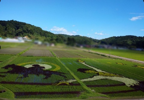 田んぼアート 2023