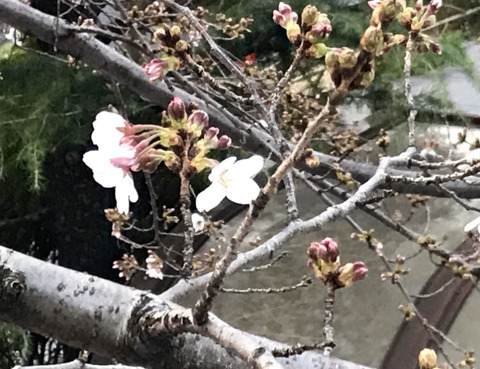 FullSizeRender - 2021-03-19T225929.426