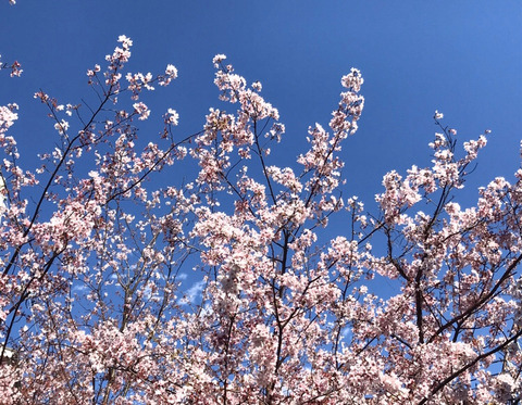 FullSizeRender (186)