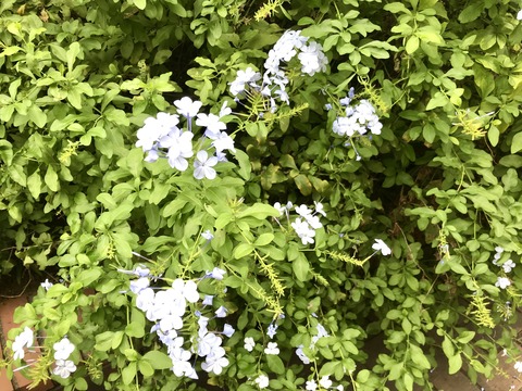 762306D2-CEF4-4346-B421-B2F63AA0A7DE