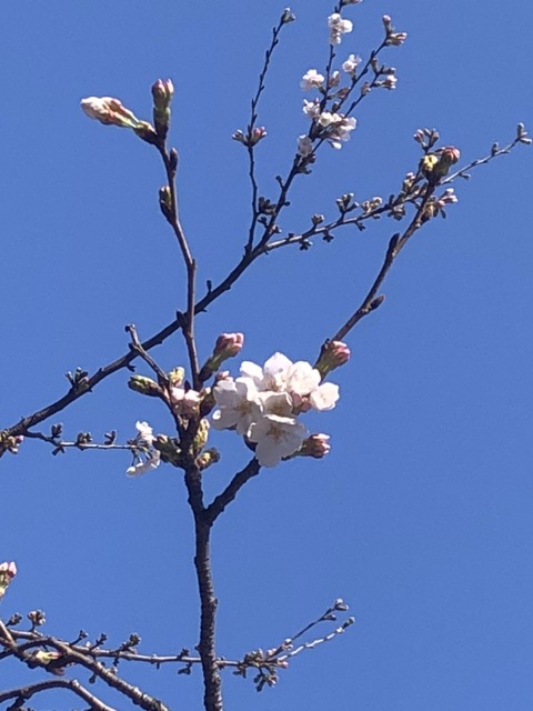 48C994D1-B7A3-4EAD-8098-5372A2675F4A