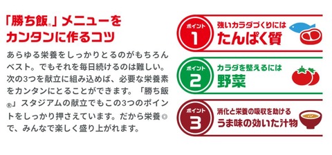 AJINOMOTO 勝ち飯　2