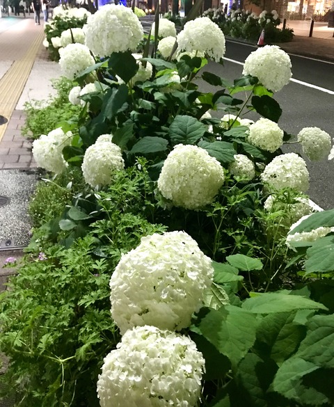 82EE30A1-665C-47A0-8A4B-BEE13F0EE972