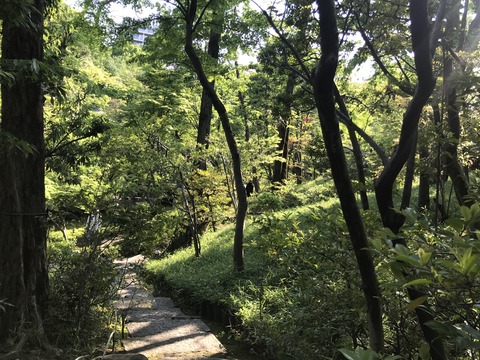 C5CFAC5B-D392-408D-B1D1-44C2EBD51DBC