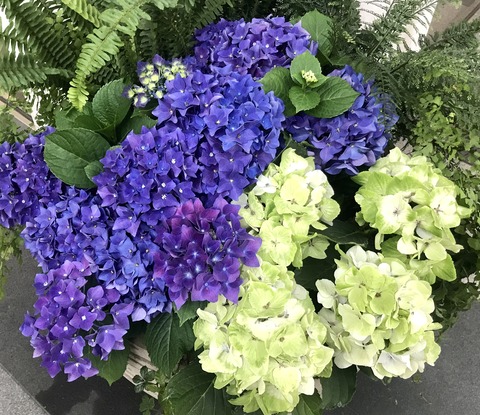 211F998B-1426-450D-891D-8FA8B9F8D7BE