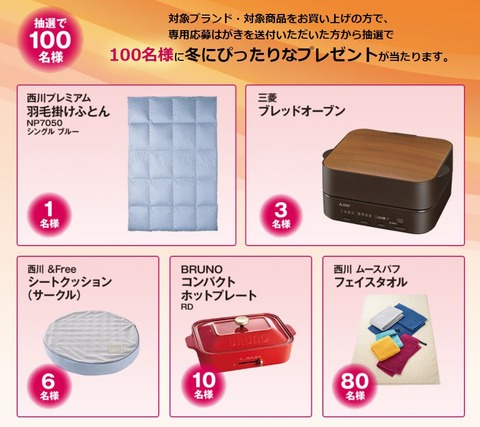 西川　WINTER SLEEP　6