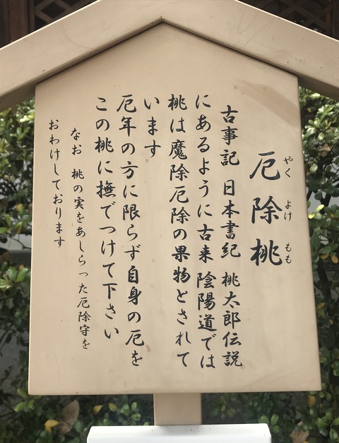 8663E7CE-5647-4804-B8DF-9189D5935A0C