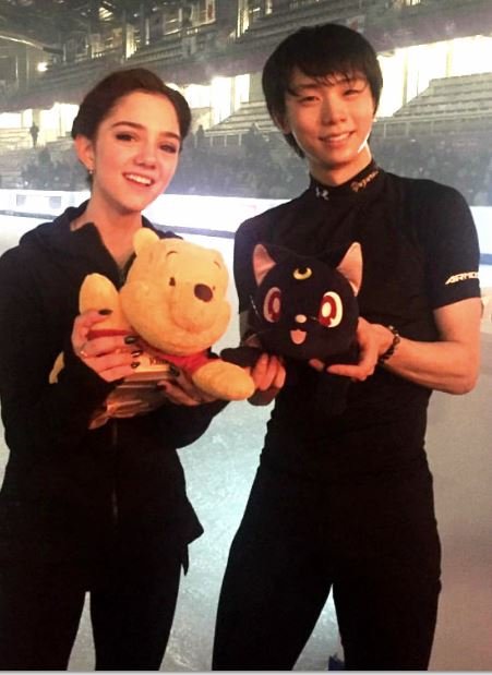 16 GPF メド 5