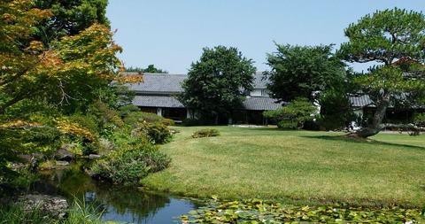 ヤマハ　北の丸　12