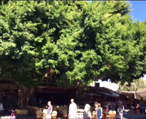 6EB9F4E3-148B-42DE-9035-BA37FC939574