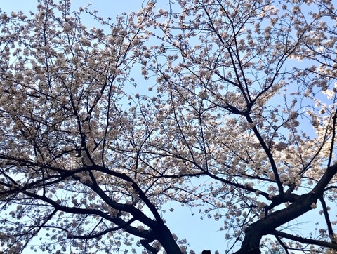 D8AD7853-3957-40C1-BB5A-68D4E1B1C710