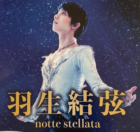 notte stellata  チラシ