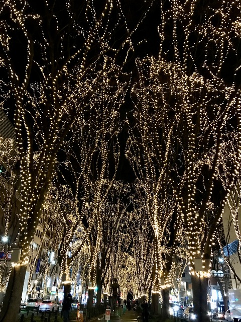 B682AE7A-D8FC-4F71-95C5-4DED15218AFE