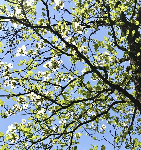 DF7635ED-92CD-49CF-BD5D-58937C947767