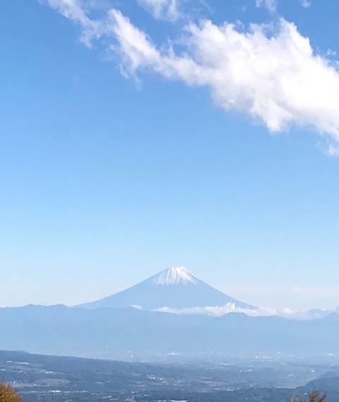 19 紅葉 富士山