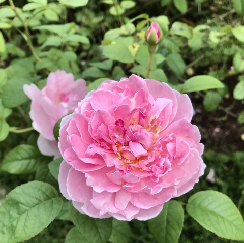 9DA35341-EEA3-4F1C-ADA8-5037156C05FE