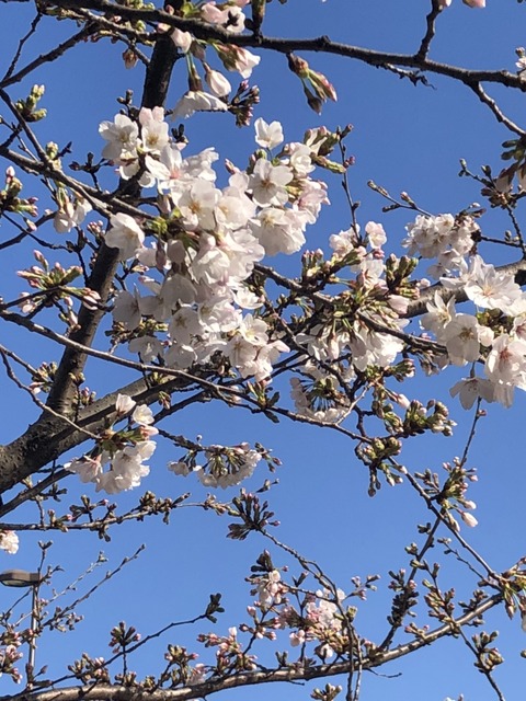 3248E48F-4F0E-49E1-B0EB-61F61AE17081