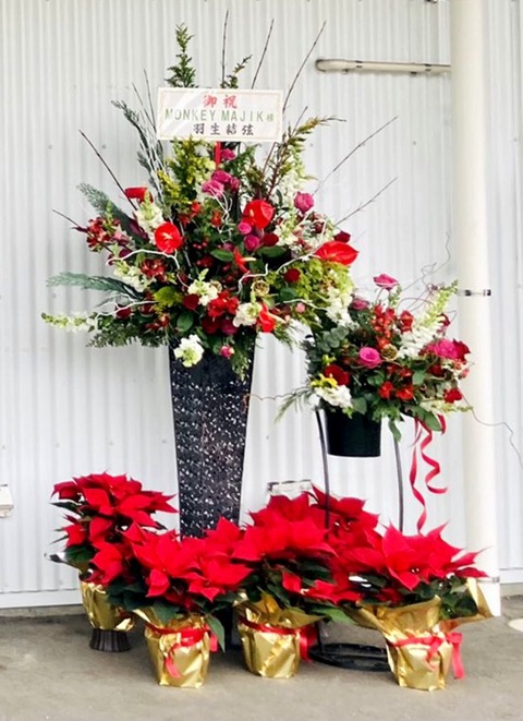 55674580-96EC-4987-9AB8-F311D09DA950