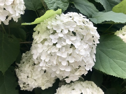 5AA2BB67-A123-437B-8E06-7FE6ED5C0BB2