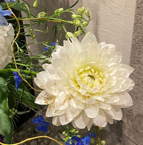 清塚信也 仙台コンサート 花束