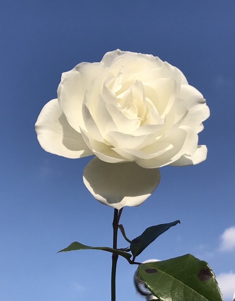 22C73B53-6F23-4EA4-BA74-B3E6DF0F108F